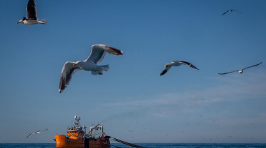 Crece la incertidumbre sobre la apertura de la zafra de langostino 2025/2026