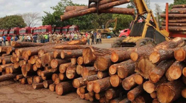 Estados Unidos impulsa el crecimiento del 34,5% de la madera Argentina
