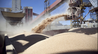 El mapa global de la harina de soja Argentina se transforma