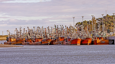 Conciliación obligatoria en Chubut destraba la temporada de langostino