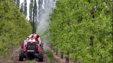 INTA lanza nueva versión de App Criollo