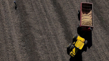 El Banco Mundial proyecta una nueva contracción del 6,8% en el precio de los commodities para 2026