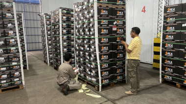 SENASA certifica el primer envío de naranjas de concordia a Ecuador con tratamiento cuarentenario