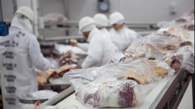 Firmeza en el mercado mundial de carne vacuna: Precios en alza ante la expectativa por la decisión regulatoria de China