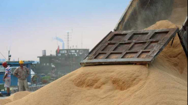 Emergencia hídrica en la zona núcleo: Un millón de hectáreas de soja pendientes de siembra