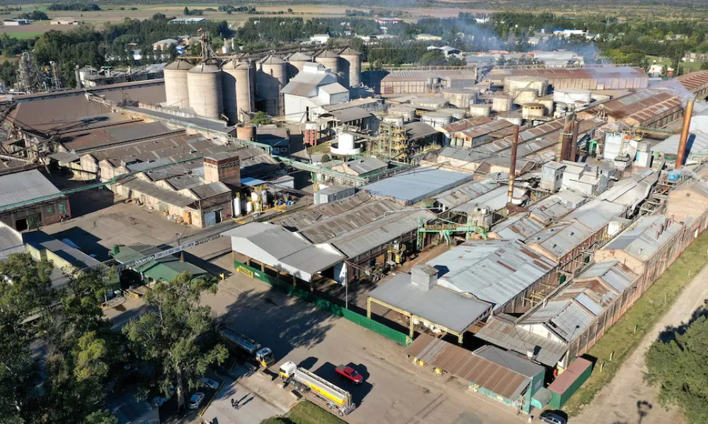 Juez Lorenzini ordena traslado a Grassi S.A. para responder impugnaciones por la legitimidad de los votos del concurso