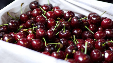 Brasil destruye 1.120 kilos de cerezas chilenas