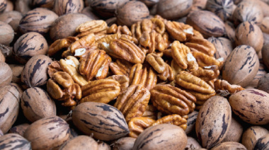 Nuez Pecán impulsa la diversificación productiva en Córdoba