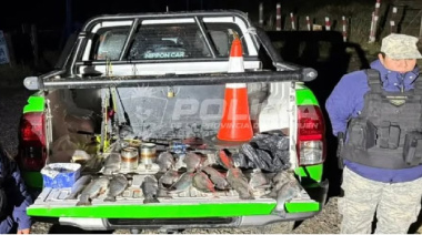 Más de 220 truchas decomisadas en Neuquén en operativos contra la pesca ilegal