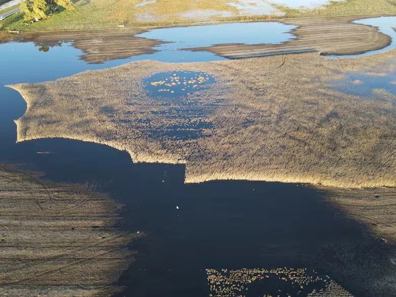 Inundaciones en el centro - oeste Bonaerense: Productores de 9 de Julio y Carlos Casares enfrentan costos con tecnología de precisión