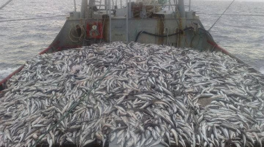 Pesca de merluza: El precio asfixia la operación