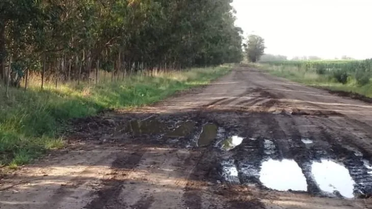 La deficiente infraestructura rural Argentina limita la competitividad de la logística agropecuaria