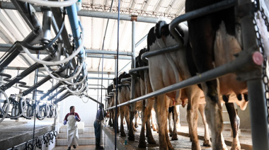 Argentina proyecta un volumen récord en exportaciones lácteas para 2025, desafiada por la coyuntura de precios internacionales