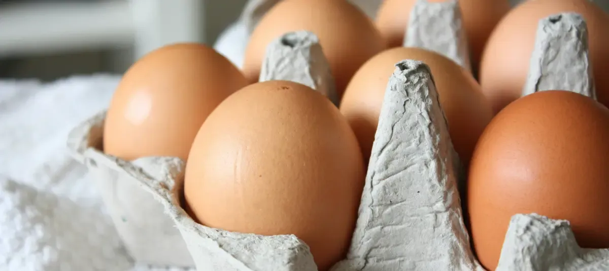 Estados Unidos autoriza la importación de huevos para quebrar desde Colombia