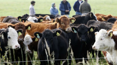 Córdoba elimina las Guías de Hacienda tras presión del sector agropecuario