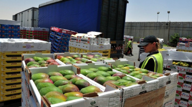 Chile impulsa expansión de exportación frutícola con nuevos protocolos fitosanitarios