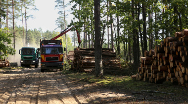 Inversión neozelandesa impulsa la industria forestal en Uruguay con enfoque en valor agregado