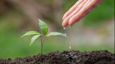 Día Mundial del Suelo: claves para la gestión sostenible y la salud ecosistémica