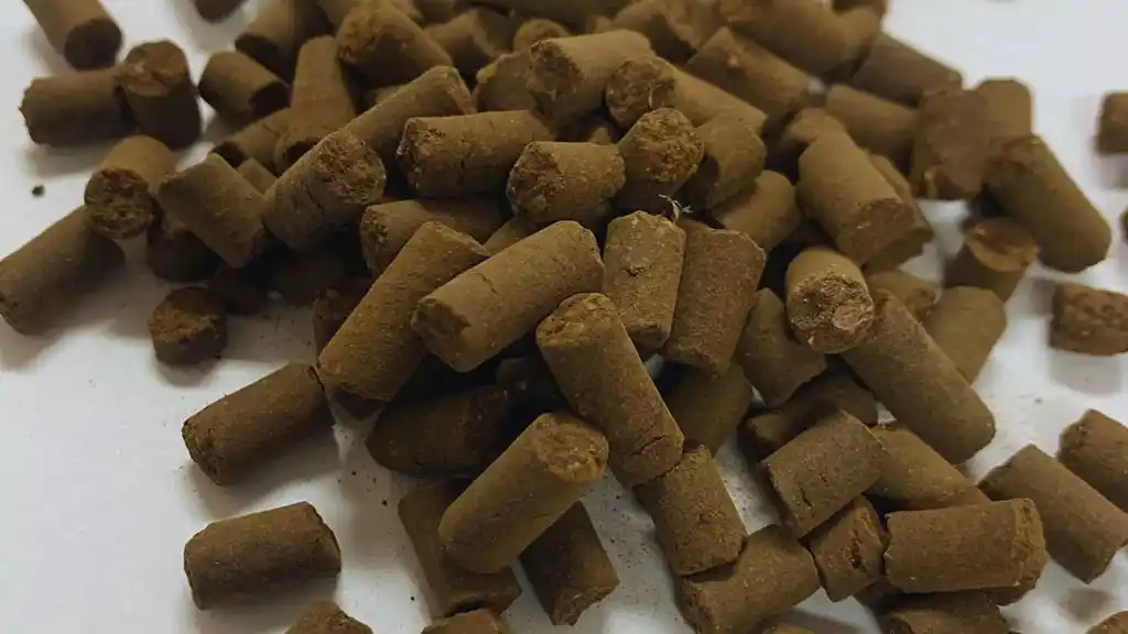 INTA y Conicet desarrollan un insumo pelletizado que optimiza la logística y recupera suelos en Cuyo