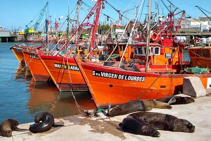 Puerto de Mar del Plata establece multas y suspensiones por derrames de camiones pesqueros