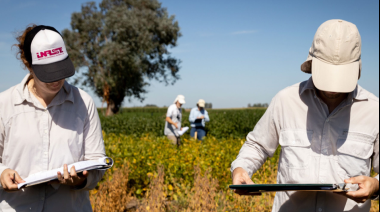 Conflicto en el sector del garbanzo por el uso de semillas propias