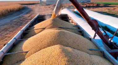 El nuevo régimen de inversiones traería U$S 15.000 millones al sector