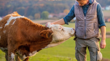 La certificación europea Welfair llega a Argentina para medir el bienestar animal en la producción