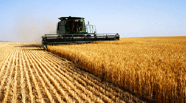 CRA presenta un plan de 12 ejes para la Reforma Tributaria del agro argentino