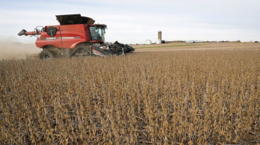 El pulso comercial de los commodities agrícolas: Argentina con 25% de la soja sin precio firme
