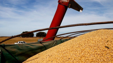 Paro Nacional programado: La FTCIODyARA convoca a 24 horas de huelga en el Complejo Oleaginoso el 18 de diciembre