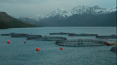 Tierra del Fuego reformó la Ley de Acuicultura con un fuerte resguardo ambiental