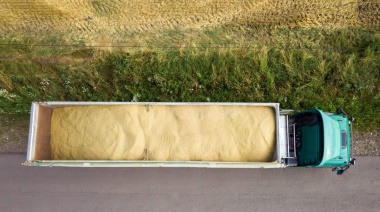 INTA advierte sobre el impacto de la mezcla involuntaria de cultivos en el comercio exterior