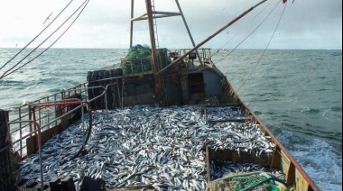 Merluza 2026: la CTMFM fijó cuotas y vedas en la Zona Común de Pesca