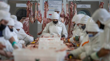 Finalizó la faena de las primeras 1.180 cabezas bajo Rito Halal para el mercado de Medio Oriente