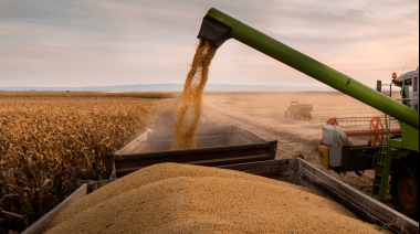 Récord histórico: La actividad de la cadena agropecuaria alcanzó su máximo nivel en noviembre
