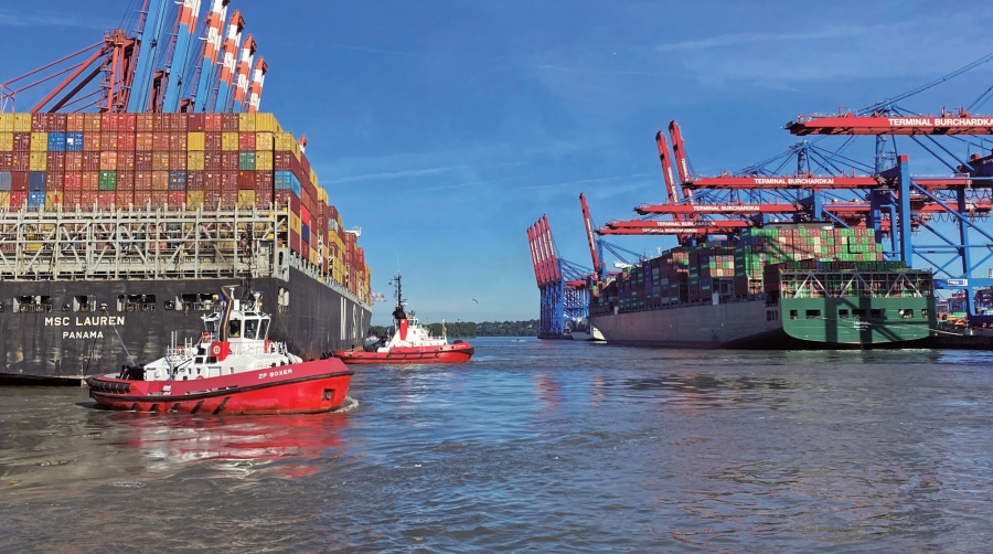 Logística a contramano: El sector escala un 3,9% mientras el resto del mercado marítimo frena antes de fin de año