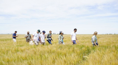 Agrotour 2025: proyectan altos rindes con bajos niveles proteicos en trigo y cebada