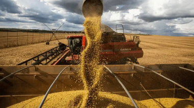 El agro liquidó más de USD 1.000 millones en diciembre y alcanzó su mayor ingreso de dólares en dos años