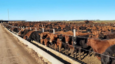 China impone cuotas a la carne vacuna: impacto y nuevos límites para el Mercosur