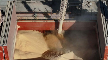 ¿Quiénes son los grandes agroexportadores de Argentina en 2025?