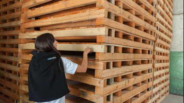 SENASA simplifica el control de embalajes de madera