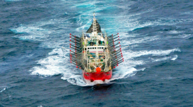 Habilitan la pesca de calamar entre los paralelos 44°S y 52°S en la ZEEA