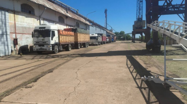Barranqueras inició la operatoria 2026 con el primer ingreso de semillas de girasol