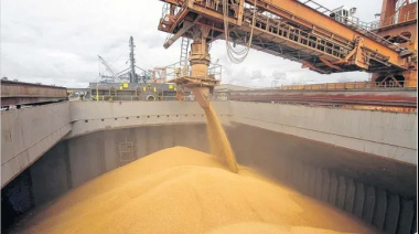 Diciembre 2025: ingreso histórico de granos al Gran Rosario impulsado por trigo y soja