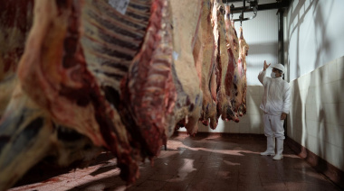 Argentina y China avanzaron en la definición del esquema de distribución de la cuota de 511.000 toneladas de carne vacuna