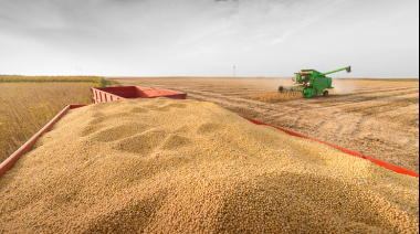CIARA-CEC resaltó que India se mantiene como destino clave para los aceites vegetales argentinos