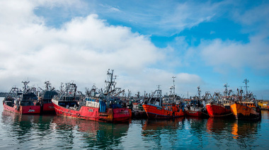 Inicio de la temporada de merluza en Mar del Plata: precios estables y presión creciente de costos