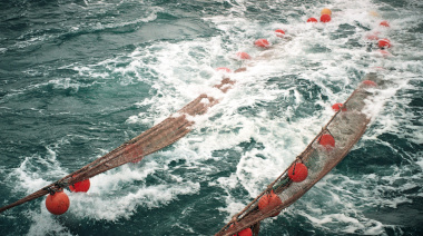 Argentina agiliza la entrada de productos pesqueros al mercado europeo con nueva conexión digital