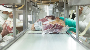 Argentina registra niveles récord en cumplimiento de cuotas de exportación agroindustrial durante 2025