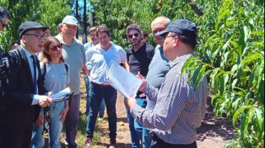Argentina avanza en la apertura del mercado chino para la exportación de frutas de carozo